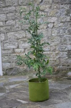 Garten Flaire Verkaufsgeschäft 3 Vigoroot Pflanztaschen Im 3er Set, 5 L (3 Stück)