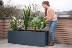 Pflanzkasten 50 X 150 X 50, Anthrazit -Garten Flaire Verkaufsgeschäft herstera pflanzkasten 50 x 150 x 50 anthrazit 1294042 de