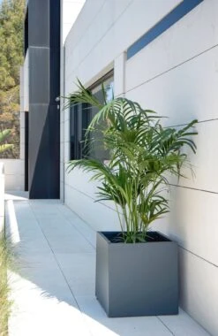 Pflanzkasten 50 X 150 X 50, Anthrazit -Garten Flaire Verkaufsgeschäft herstera pflanzkasten 50 x 150 x 50 anthrazit 1294049 de