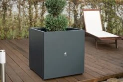 Pflanzkasten Cube 70x70x70, Anthrazit 25 Pflanzkasten Cube 70x70x70, Anthrazit -Garten Flaire Verkaufsgeschäft herstera pflanzkasten cube 70x70x70 anthrazit 1293277 de