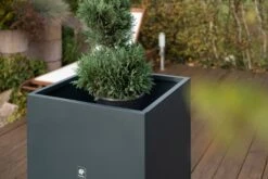 Pflanzkasten Cube 70x70x70, Anthrazit 20 Pflanzkasten Cube 70x70x70, Anthrazit -Garten Flaire Verkaufsgeschäft herstera pflanzkasten cube 70x70x70 anthrazit 1293291 de