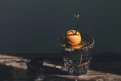 "Helios" Wachstumsscheibe Aus Messing -Garten Flaire Verkaufsgeschäft house of thol helios wachstumsscheibe aus messing 1541431 de