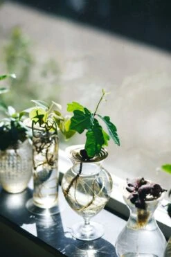 "Helios" Wachstumsscheibe Aus Messing -Garten Flaire Verkaufsgeschäft house of thol helios wachstumsscheibe aus messing 1541471 de