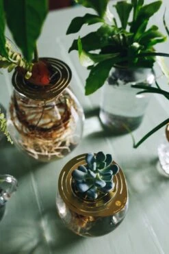 "Helios" Wachstumsscheibe Aus Messing -Garten Flaire Verkaufsgeschäft house of thol helios wachstumsscheibe aus messing 1541495 de