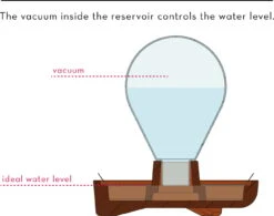 "Patella Crescenda" - Natürliches Keimset -Garten Flaire Verkaufsgeschäft house of thol patella crescenda natuerliches keimset 1682824 de