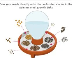 "Patella Crescenda" - Natürliches Keimset -Garten Flaire Verkaufsgeschäft house of thol patella crescenda natuerliches keimset 1682825 de