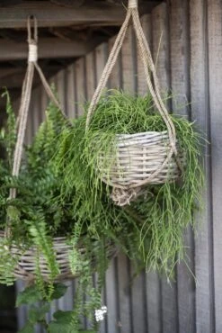 Hängekorb Rattan, H: 13 Cm Ø: 36 Cm -Garten Flaire Verkaufsgeschäft ib laursen haengekorb rattan 1681831 de