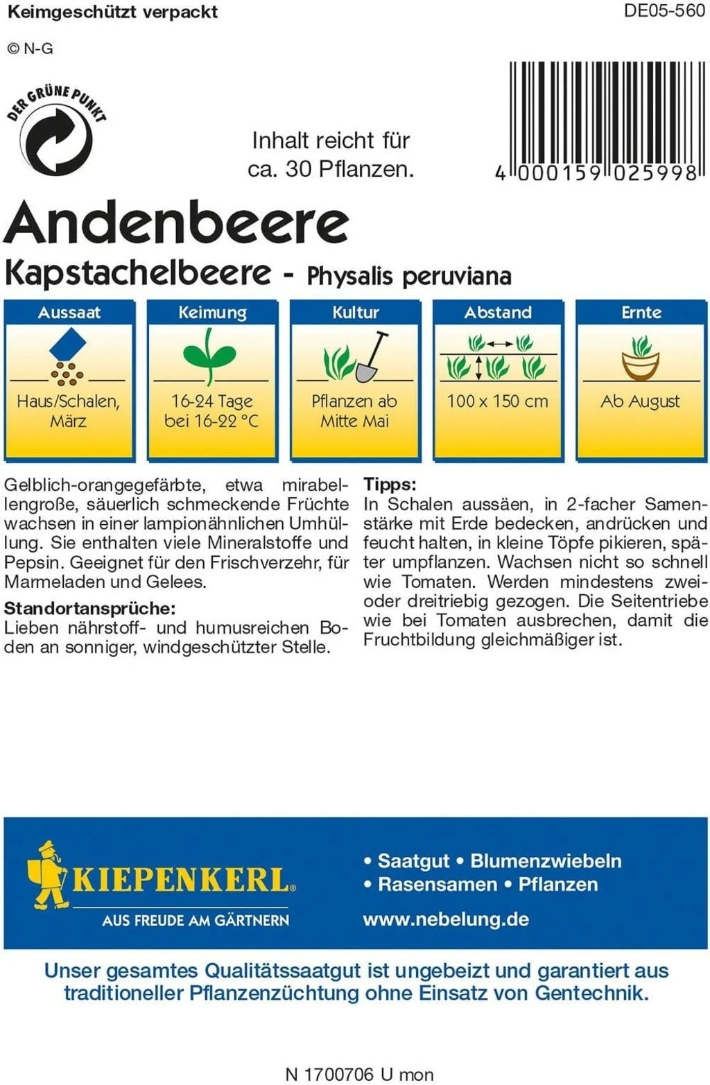 Andenbeere 4 Andenbeere - Image 2