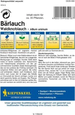 Bärlauch "Waldknoblauch"