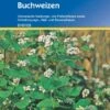 Buchweizen, 50 G -Garten Flaire Verkaufsgeschäft kiepenkerl buchweizen 1544930 de