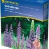 Dünge-Lupine, 1 Kg -Garten Flaire Verkaufsgeschäft kiepenkerl duenge lupine 1 kg 1519364 de