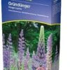 Dünge-Lupine 2 Kg, 2 Kg