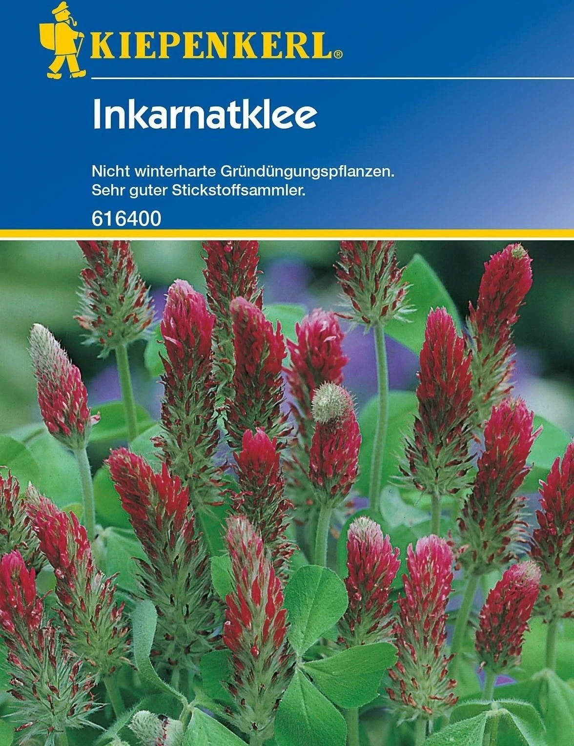 Inkarnatklee, 75 G 4 Inkarnatklee, 75 G - Image 2