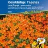 Kleinblütige Tagetes "Luna Orange" -Garten Flaire Verkaufsgeschäft kiepenkerl kleinbluetige tagetes luna orange 1 pkt 1208734 de