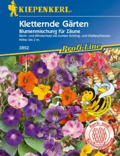 Kletternde Gärten Für Gartenzäune -Garten Flaire Verkaufsgeschäft kiepenkerl kletternde gaerten fuer gartenzaeune 1 pkt 1209035 de