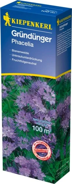 Phacelia (Mega-Pack), 400 G -Garten Flaire Verkaufsgeschäft kiepenkerl phacelia mega pack 400 g 1664683 de