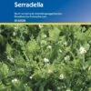 Serradella 1 Serradella -Garten Flaire Verkaufsgeschäft kiepenkerl serradella 1 pkt 1204154 de