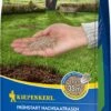 Starterrasen, 1 Kg 2 Starterrasen, 1 Kg -Garten Flaire Verkaufsgeschäft kiepenkerl starterrasen 1 kg 1671144 de