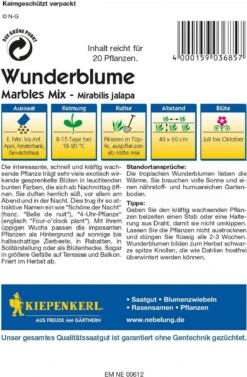 Wunderblume "Marbles-Mix" 5 Wunderblume "Marbles-Mix" -Garten Flaire Verkaufsgeschäft kiepenkerl wunderblume marbles mix 1 pkt 1210648 de
