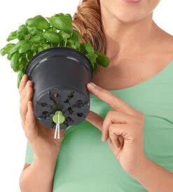 LECHUZA CUBE Color Triple Komplett-Set, Sandbraun -Garten Flaire Verkaufsgeschäft lechuza balconissima color 40 komplett set 648872 de