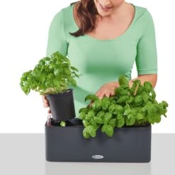 LECHUZA CUBE Color Triple Komplett-Set, Sandbraun -Garten Flaire Verkaufsgeschäft lechuza balconissima color 40 komplett set 648882 de