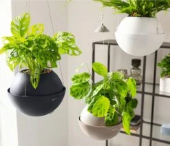 LECHUZA Blumenampel BOLA Color 23, Schiefergrau -Garten Flaire Verkaufsgeschäft lechuza blumenampel bola color 23 1190208 de