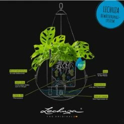 LECHUZA Blumenampel BOLA Color 23, Schiefergrau -Garten Flaire Verkaufsgeschäft lechuza blumenampel bola color 23 1190215 de