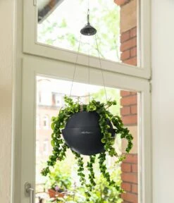 LECHUZA Blumenampel BOLA Color 23, Schiefergrau -Garten Flaire Verkaufsgeschäft lechuza blumenampel bola color 23 schiefergrau 1190278 de