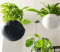 LECHUZA Blumenampel BOLA Color 32, Sandbraun -Garten Flaire Verkaufsgeschäft lechuza blumenampel bola color 32 1274045 de