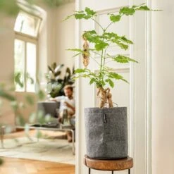 LECHUZA Pflanzgefäß TRENDCOVER "Filz" 23, Dark Grey -Garten Flaire Verkaufsgeschäft lechuza komplett set trendcover filz 23 dark grey 1168518 de