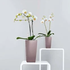 LECHUZA Tischgefäß MAXI CUBI, Weiß Hochglanz -Garten Flaire Verkaufsgeschäft lechuza maxi cubi tischgefaess 1185397 de