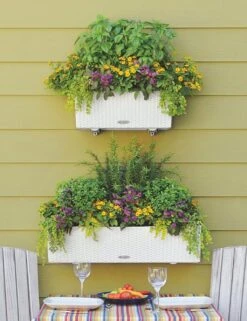 LECHUZA Pflanzgefäß BALCONERA Cottage 80, Weiß -Garten Flaire Verkaufsgeschäft lechuza pflanzgefaess balconera cottage 80 1667388 de