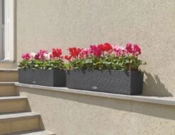 LECHUZA Pflanzgefäß BALCONERA Cottage 80, Weiß -Garten Flaire Verkaufsgeschäft lechuza pflanzgefaess balconera cottage 80 1667391 de