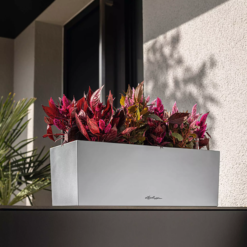 LECHUZA Pflanzgefäß BALCONERA Steel, 50 Cm 17 LECHUZA Pflanzgefäß BALCONERA Steel, 50 Cm -Garten Flaire Verkaufsgeschäft lechuza pflanzgefaess balconera steel 50 cm 1617317 de