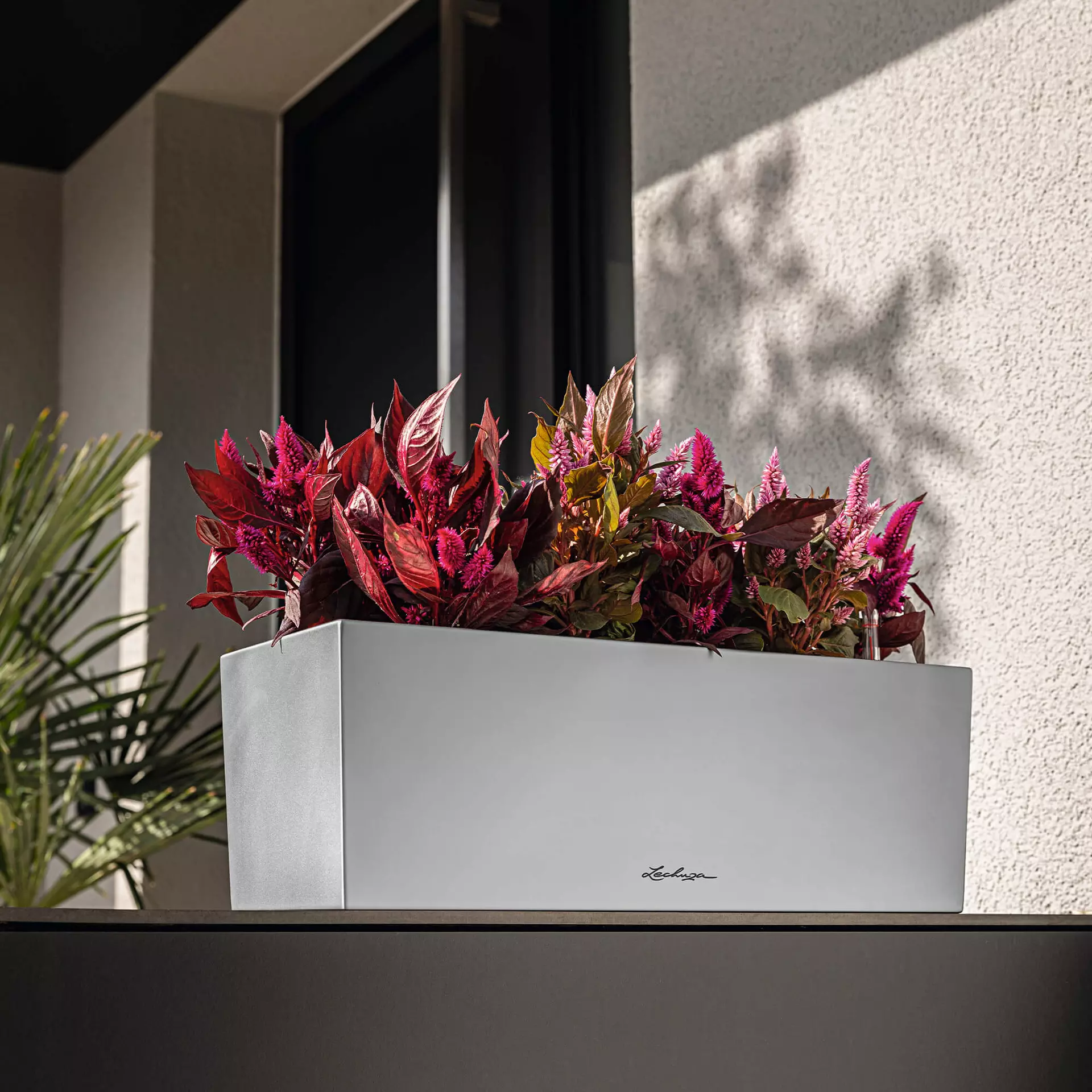 LECHUZA Pflanzgefäß BALCONERA Steel, 50 Cm 10 LECHUZA Pflanzgefäß BALCONERA Steel, 50 Cm - Image 8