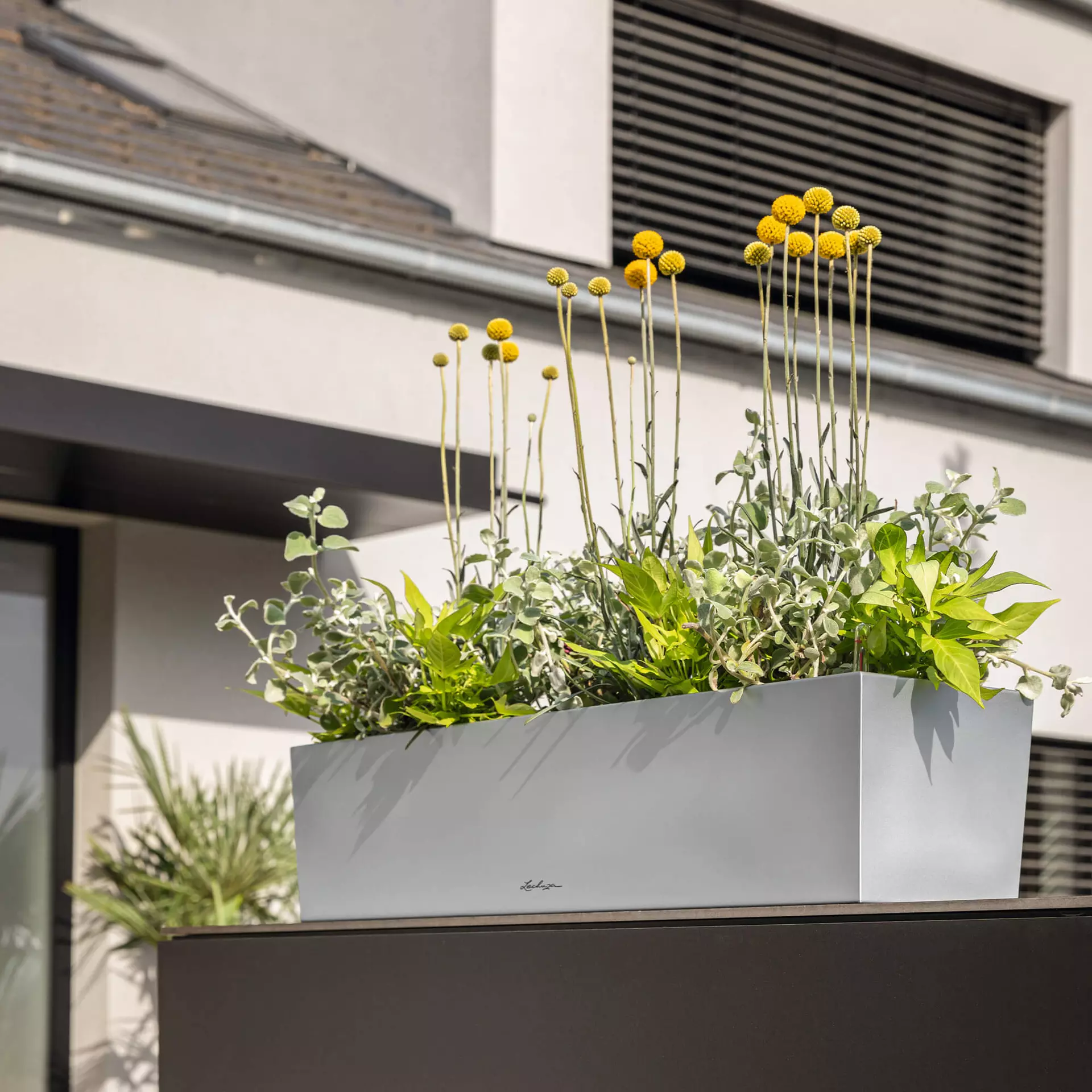 LECHUZA Pflanzgefäß BALCONERA Steel, 50 Cm 7 LECHUZA Pflanzgefäß BALCONERA Steel, 50 Cm - Image 5