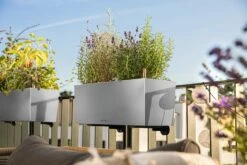 LECHUZA Pflanzgefäß BALCONERA Steel, 50 Cm