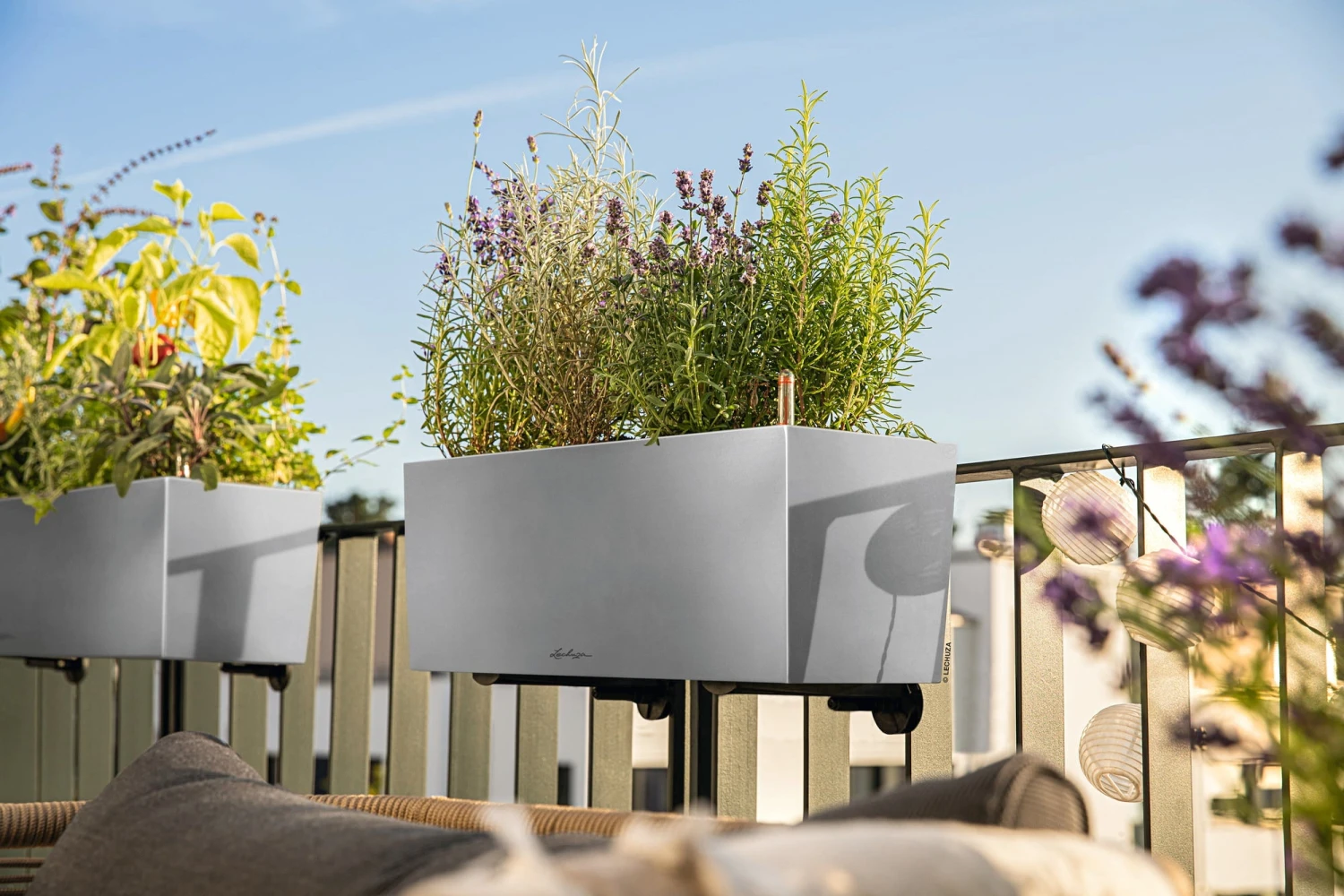 LECHUZA Pflanzgefäß BALCONERA Steel, 50 Cm 3 LECHUZA Pflanzgefäß BALCONERA Steel, 50 Cm