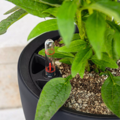 LECHUZA Pflanzgefäß CLASSICO Color LS 21, Schiefergrau -Garten Flaire Verkaufsgeschäft lechuza pflanzgefaess classico color ls 21 muskat 1617203 de