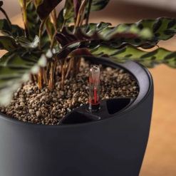 LECHUZA Pflanzgefäß CLASSICO Color LS 35, Sandbraun -Garten Flaire Verkaufsgeschäft lechuza pflanzgefaess classico color ls 35 muskat 1617145 de