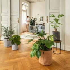 LECHUZA Pflanzgefäß TRENDCOVER "Filz" 32, Dark Grey -Garten Flaire Verkaufsgeschäft lechuza pflanzgefaess trendcover filz 32 1677483 de