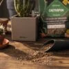 LECHUZA Substrat Cactus-PON, 6 Liter -Garten Flaire Verkaufsgeschäft lechuza substrat cactus pon 6 liter 1616857 de