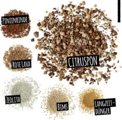 LECHUZA Substrat Citrus-PON, 12 Liter -Garten Flaire Verkaufsgeschäft lechuza substrat citrus pon 25 liter 1616881 de