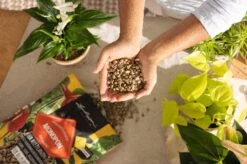 LECHUZA Substrat Mono-PON, 12 Liter -Garten Flaire Verkaufsgeschäft lechuza substrat mono pon 12 liter 1684149 de