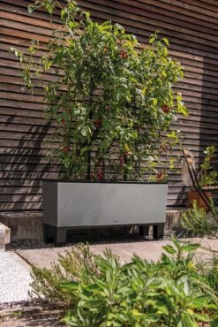 LECHUZA Pflanzgefäß TRIO "Stone" 40, Steingrau -Garten Flaire Verkaufsgeschäft lechuza trio stone 40 komplett set 1143264 de