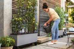 LECHUZA Pflanzgefäß TRIO "Stone" 40, Steingrau -Garten Flaire Verkaufsgeschäft lechuza trio stone 40 komplett set 1143271 de