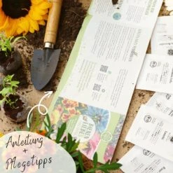 Bio Bienen Blumensamen Set -Garten Flaire Verkaufsgeschäft loveplants bio bienen blumensamen set 1546725 de