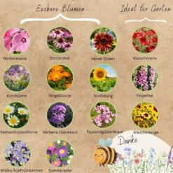 Bio Blumensamen Set -Garten Flaire Verkaufsgeschäft loveplants bio blumensamen set 1546651 de