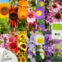 Bio Blumensamen Set -Garten Flaire Verkaufsgeschäft loveplants bio blumensamen set 1546667 de