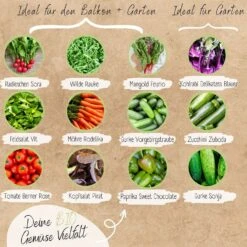 Bio Gemüsesamen Set -Garten Flaire Verkaufsgeschäft loveplants bio gemuesesamen set 1546969 de